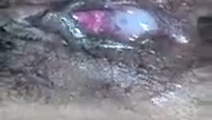 İnanılmaz miktarda sperm