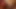 1dpbtt.mp4