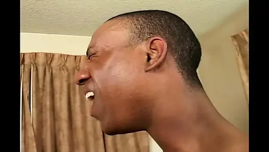 – Eşek yerine bir kaya