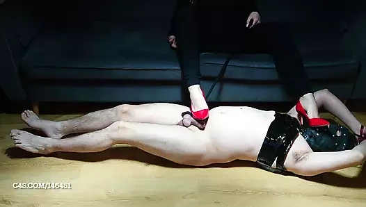 Taşaklarını tekmelerim, sen benim topuklularımı yalarsın! metresi redix tarafından