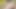 Trish metro 3d hentai - kalça fetişi, bakış açısı domaltmalı göt, sansürsüz animasyonda kaşıklama dölleme