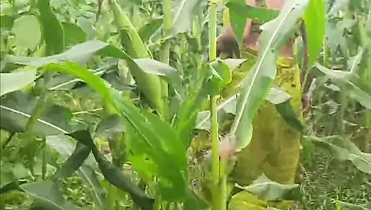 Hintli kızın açık havada Bangladeşli köylü kızı dışarıda