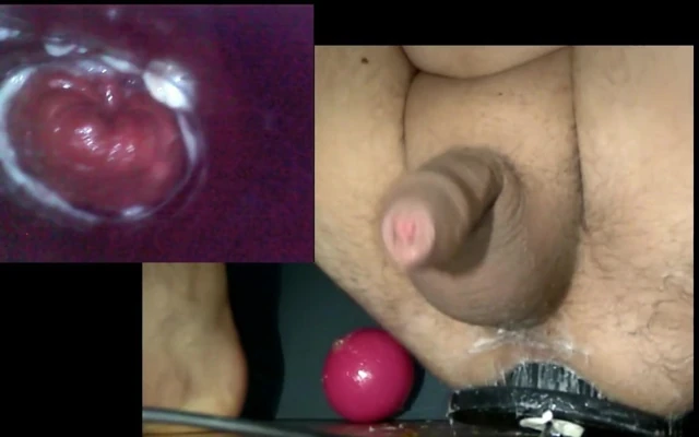Endoscope cam in Tunnel Buttplug