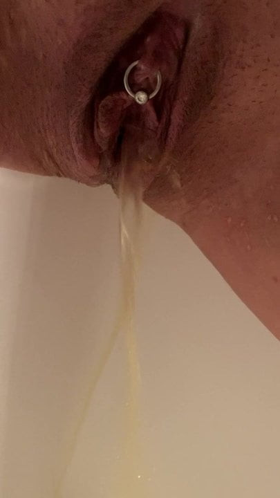 kedi pissing