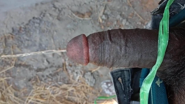 Hintli yarak
