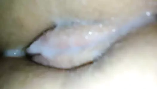 Cum üzerinde kıllı KEDİ itibaren arkasında