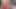 Büyük memeli Brittany Andrews ve Utangaç Angelina Moon şanslı bir yarak için sakso çekiyor