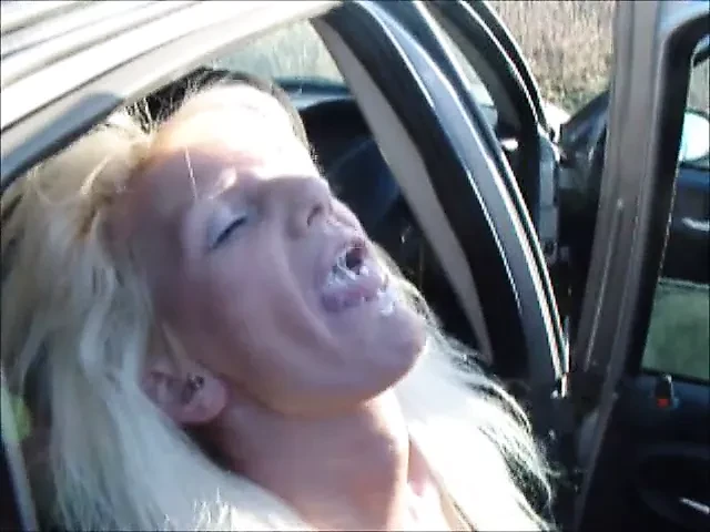 Amateur dogging