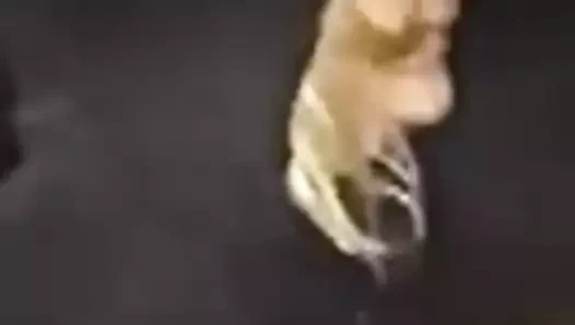 Kız arkadaşım plaja giderken kendine işeyene kadar ona sardırdı