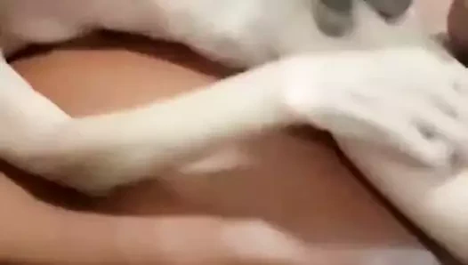 BEAU VIEUX MAIGRE CHINOIS