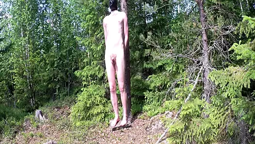 balancing on a rock in the woods.