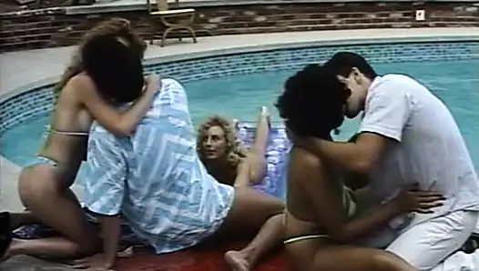 Bikini şehri - brendi alexandre, teri dalgıç, karizma