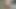 Orta yaşlı seksi üniversite öğretmenim benim gizli fahişem! - 3 boyutlu hentai animasyonlu porno - orta yaşlı seksi kadın