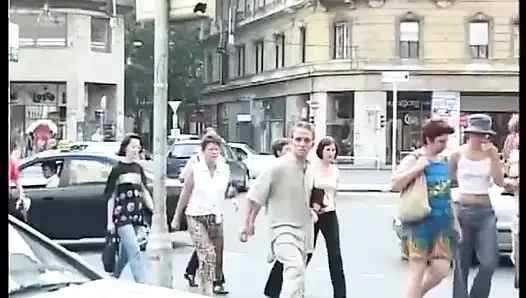 Göğüs raporu - dvd