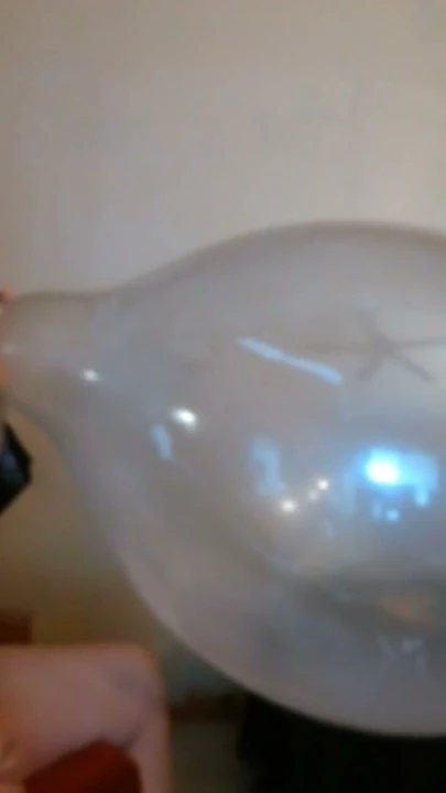 Balloonbanger 80) Slow Blow, Jerk and Pop Used Tuf-Tex 24 inch Balloon | Clip 2