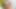 Kocaman Göğüslerimle Eşimle Bahçe Seks Yaparken Komşu Izlerken Creampie-yasmina Khan-brady Bud