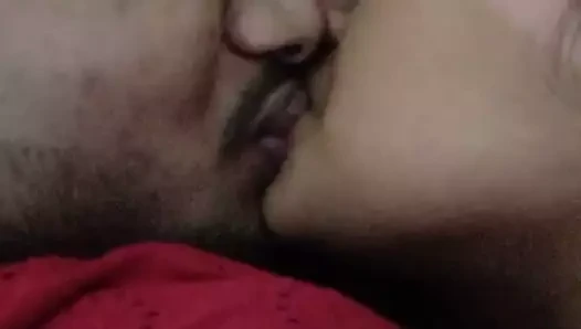 Farzanabepari alexzion