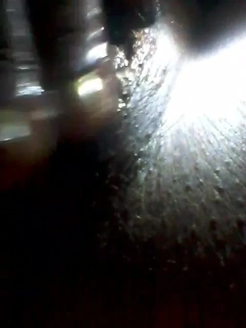 Nayani Nirmala пальцами с алоэ вера