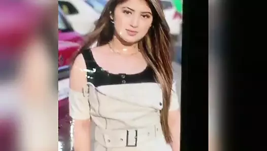 Arishfa khan döl haraç