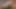 Twistys - ateşli n' steamy Ryans tek başına oynuyor