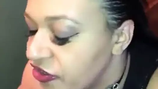 Dominik dudak servisi