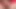 Delicious pink pussy in close-up