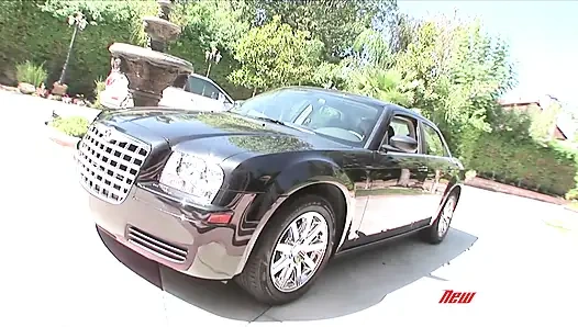 Paris gables - dizel indi #03