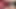 Azgın esmer dildo oyuncağıyla mastürbasyon yapmayı seviyor