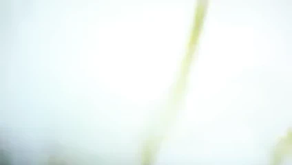 Benim bbw şaşkın kedi becerdin