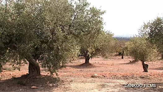 Eşcinsel tatilde seks gerçekliği. Program 1