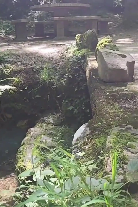 Doğada sevişilmeyi çok seviyorum