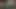Siyah ve siyah selfy yakın çekim