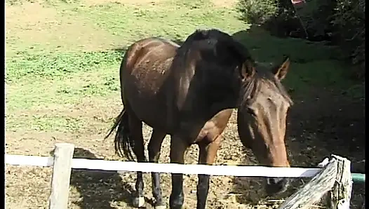 Kızgınlık dönemindeki bir fahişenin anal arzuları