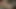 Kıllı ressam onun fırça emdi alır