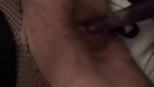 S varlık becerdin tarafından bir tavşan