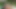 Tushy aldatan kızıl saçlı Megan Longoria iyi bir anal sikişe karşı koyamıyor