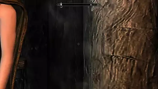 Skyrim'in özel sürümü. yerel taverna