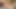 Ateşli kızıl saçlı camila vegas şeffaf dildo emiyor ve amına sokuyor - ateşli fragman! Tam istiyor musun?