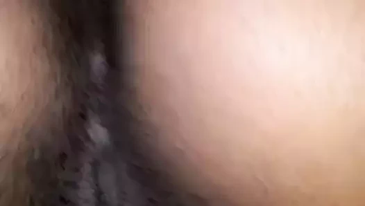 Phat tombul kedi striptizci iki