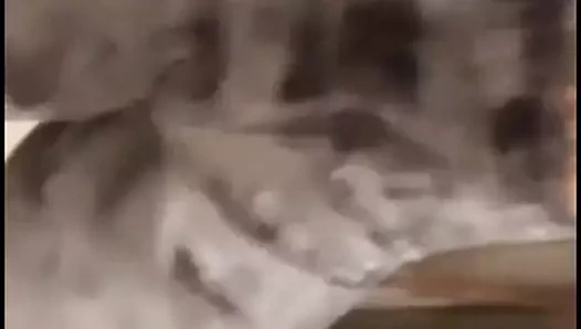 Vp02 - melisa chavez 1wjj