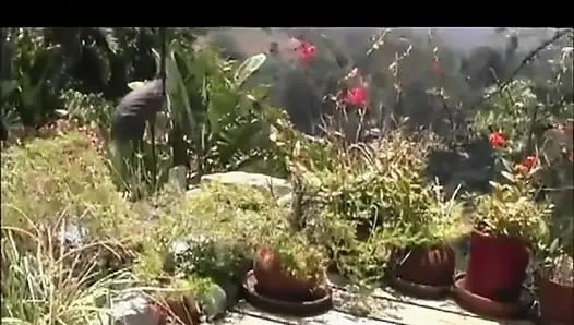 Amcık yalayan amcık bahçede mastürbasyon yapıyor