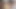 Abanoz civciv can direnmek büyük horoz