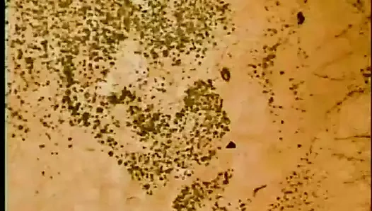 Sıcak amcıklar - bölüm 4