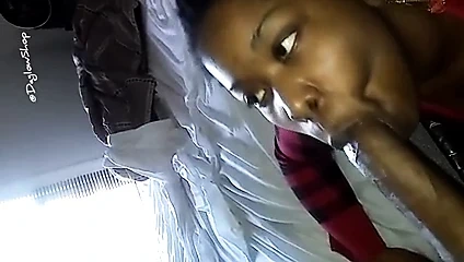 Mi compadre se come rica morena