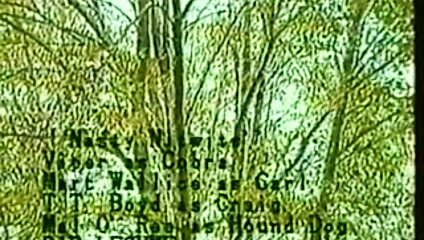 Kuzgun - mavi görünümler