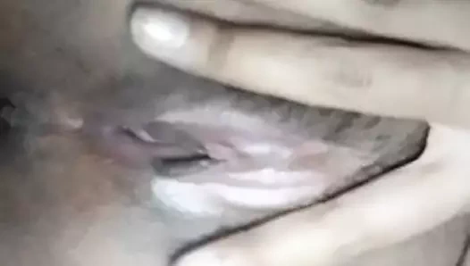 Omang gösteren kedi