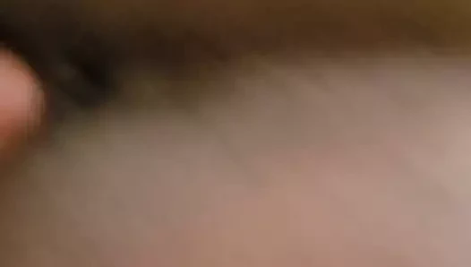 Smashing o sıkı, ıslak, kedi