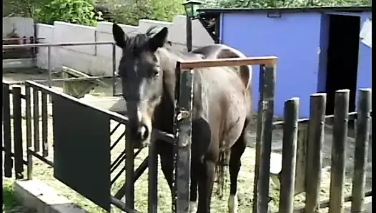 Sarışın kaltak ek binada pis kokulu kapıdan sert becerdin