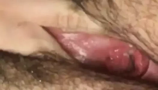 Maruz kalan domuzcuk çirkin yüzünü gösteriyor