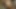 Düz amatör mastürbasyon kapalı onun büyük şişman horoz için porno solo